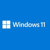 Microsoft Windows 11 Famille 64 bits - OEM (DVD)