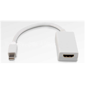 Mini DVI vers HDMI